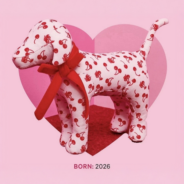 Perrito de Colección PINK Victoria's Secret Pink